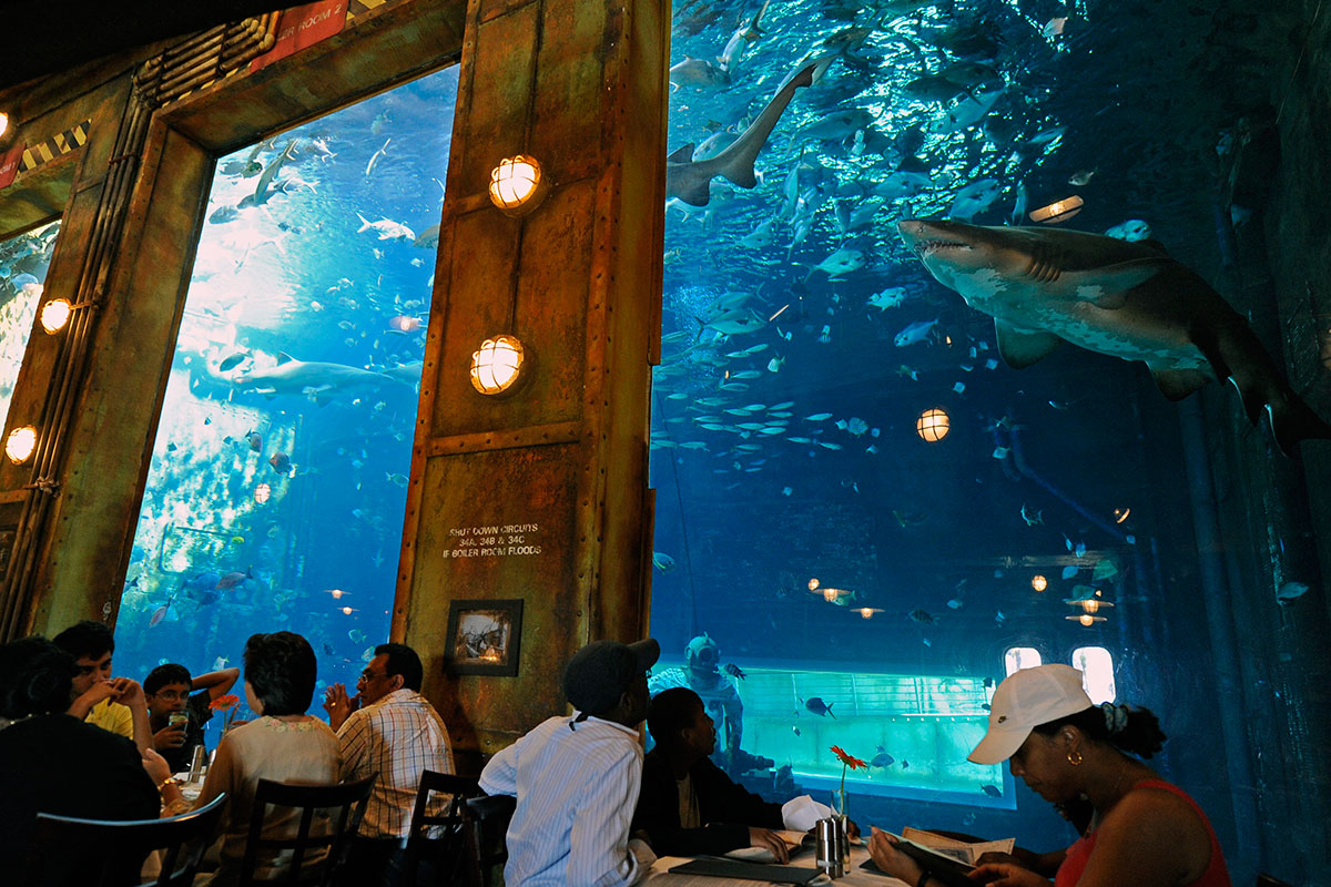 restaurantes submarinos