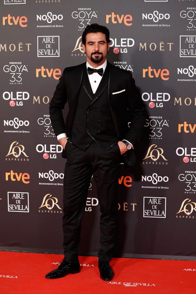 La alfombra roja de los Premios Goya 2019