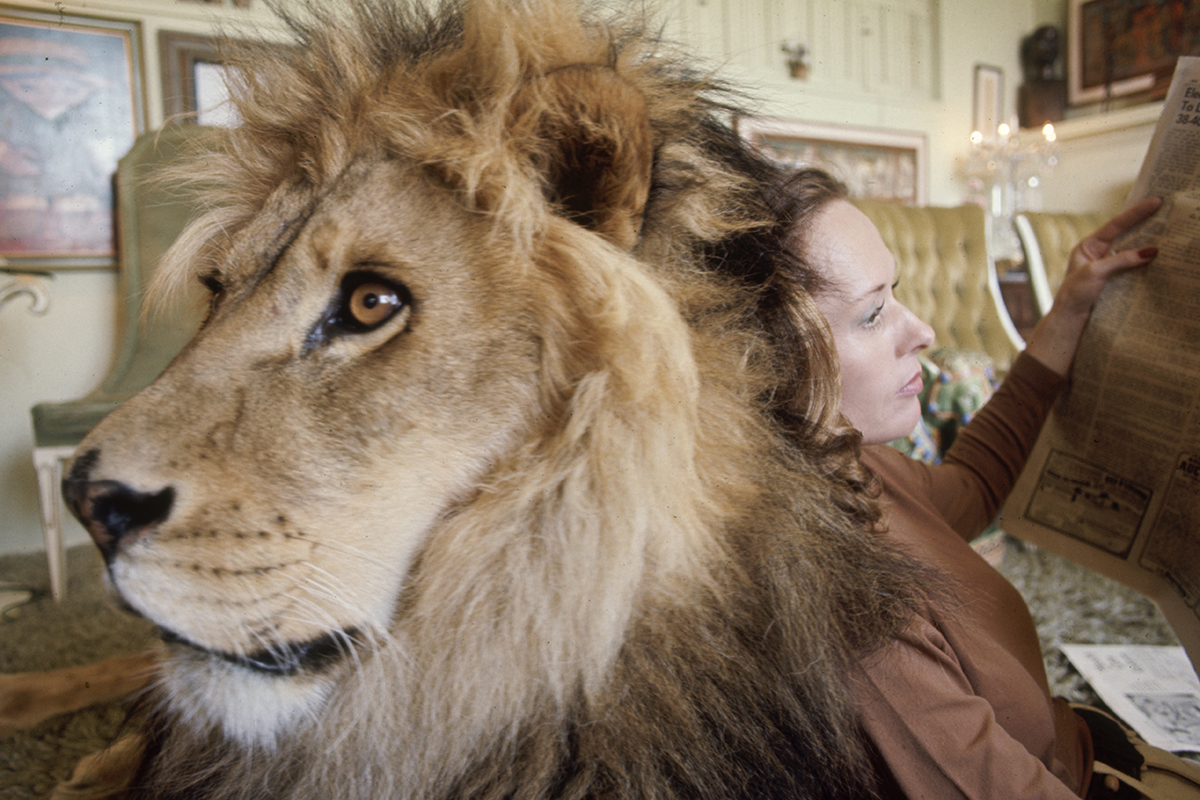 La 'madre de tigres' Tippi Hedren y otros famosos que presumieron de  mascotas exóticas | Vips | S Moda EL PAÍS
