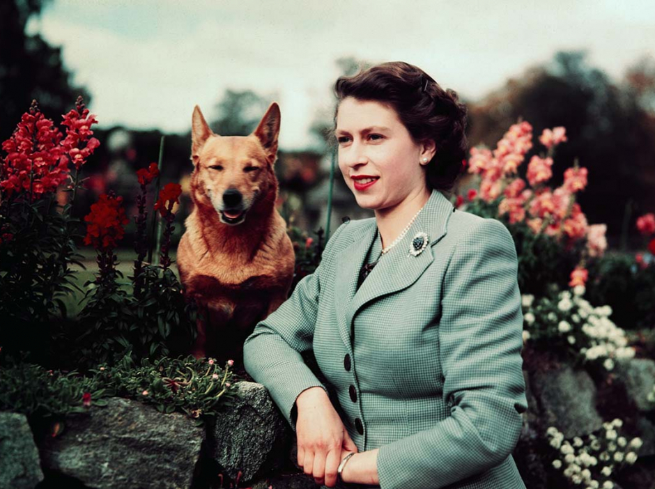 Reina Isabel II perros