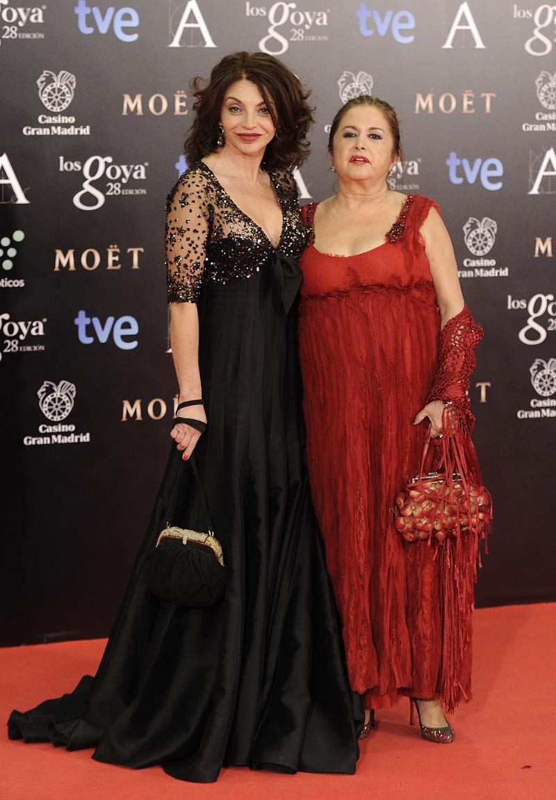 Todos los vestidos de los Goya 2014